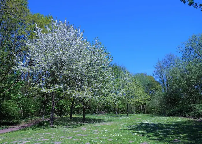 Apartamento Ostseeparadies Magic *